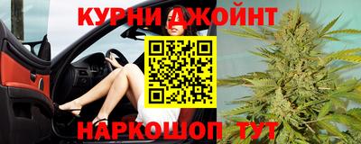 гидра Камышлов