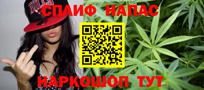 гидра Камышлов